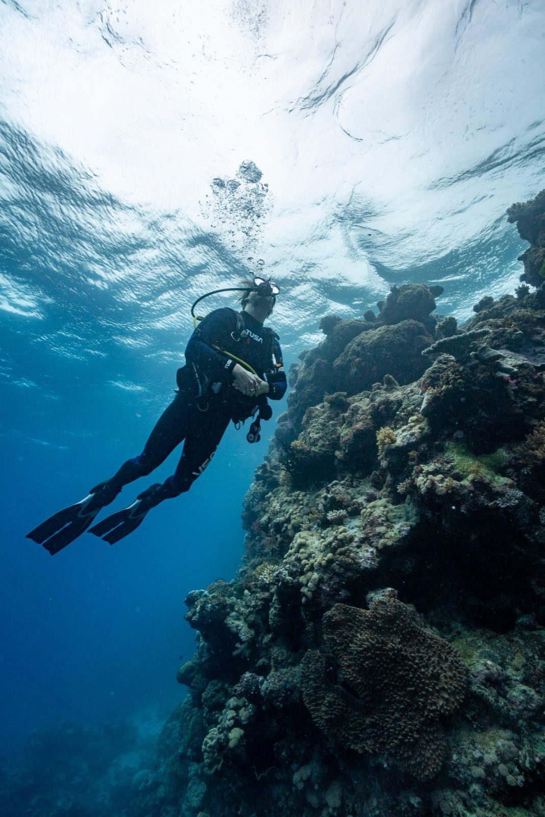 A diver descending along a coral wall in deep blue water.