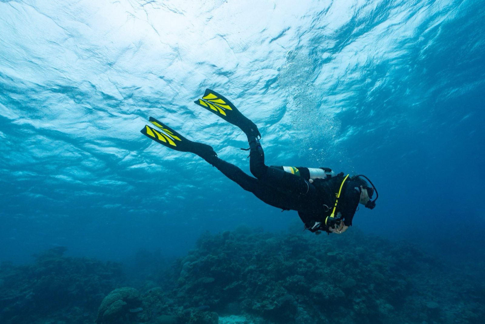 A lone diver gliding beneath the surface over open water.