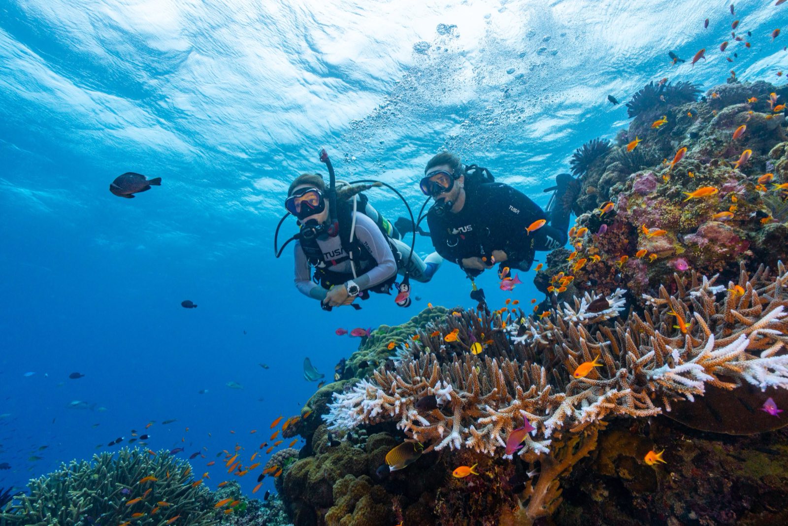 Two scuba divers swimming over a coral reef in clear blue water.